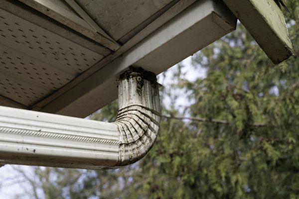 Cost of Roof Drain Replacement in Traverse City